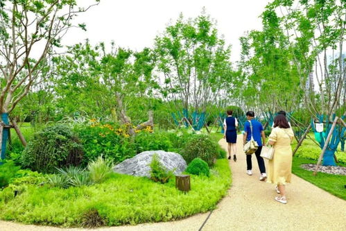 一條名為“幸福”的道路 串起西安綠色長(zhǎng)廊的樹木種植經(jīng)營(yíng)