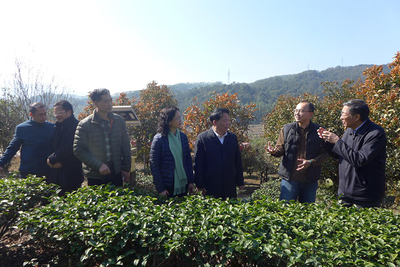 福建省臺(tái)聯(lián)赴漳州調(diào)研兩岸融合發(fā)展工作，聚焦農(nóng)副產(chǎn)品銷售新路徑